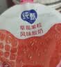 蒙牛纯甄吸吸酸奶「草莓果粒」100g*10袋*2提 袋装儿童酸牛奶 实拍图