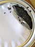 十月稻田 熟黑芝麻 500g 开罐即食 可打芝麻粉芝麻糊 五谷杂粮 实拍图