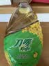 刀唛（Knife）食用油【保真菜籽油】低芥酸菜籽油6.18L 物理压榨一级油礼品送礼 实拍图
