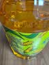金龙鱼 食用油 非转基因 物理压榨玉米油6.18L（蕴含植物甾醇） 实拍图