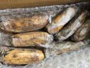洪湖农家 莲藕新鲜 洪湖粉藕 蔬菜 生鲜5斤 火锅食材 洪湖莲藕 根茎类 藕 实拍图