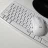 罗技（Logitech）MK295无线键鼠套装 静音办公无线键盘鼠标套装 静音鼠标键盘笔记本电脑键盘薄膜 全尺寸家用104键 【舒适手感 行业热销】轻音简约白 实拍图
