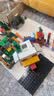 乐高（LEGO）积木我的世界21583 史蒂夫针叶林冒险男女孩儿童玩具生日礼物 实拍图