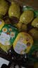 佳沛（zespri）新西兰金奇异果12粒特大果124-146g猕猴桃中秋节礼品送水果礼盒 实拍图