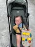 博格步（BUGABOO）Bugaboo Butterfly 博格步轻便婴儿推车多功能可登机 丛林绿 实拍图
