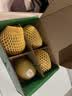 佳沛（zespri）新西兰金奇异果4粒103-114g猕猴桃源头直发水果礼盒 实拍图