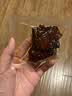 三只松鼠卤汁肉脯500g辣卤味箱装休闲零食高蛋白肉片解馋中秋团购送礼 实拍图