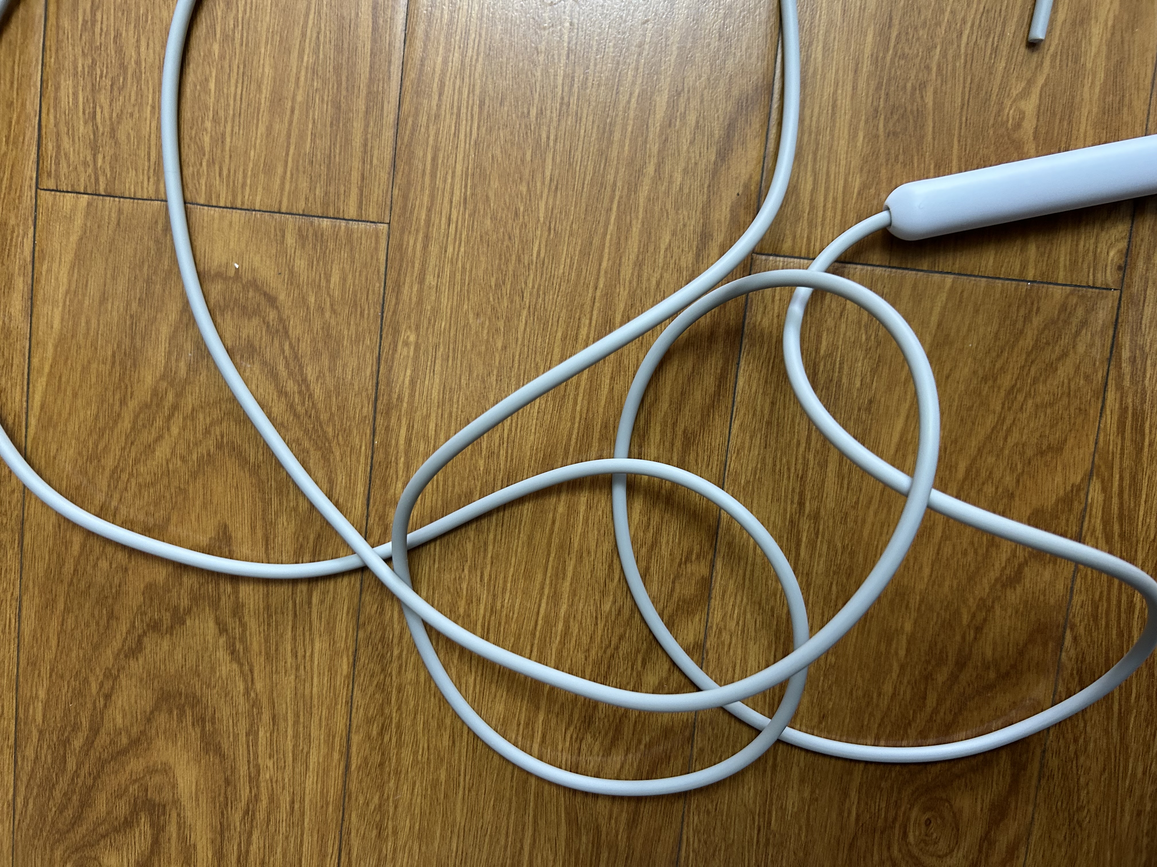 安踏竞速跳绳小学生儿童专用中考体育考试比赛专业训练初中生轻便绳子 竞速跳绳-白色 实拍图