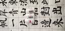 [九势] 马来酸氯苯那敏片 4mg*100片/盒荨麻疹皮炎湿疹痒皮肤抗过敏药 3盒 实拍图