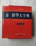 新华大字典 第3版大字版 2021新版超大开本 新华字典新版 多功能学生字典 开学季 实拍图
