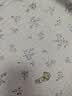 红豆床盖A类泡泡棉夹棉床单单件夏季学生宿舍水洗棉床罩230x250cm小兔 实拍图