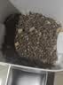 LEGENDSANDY蓝氏猎鸟乳鸽生骨肉冻干猫粮 全价成猫幼猫猫粮1.5kg 实拍图