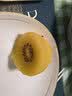佳沛（zespri）新西兰金奇异果10粒巨大果146-175g猕猴桃中秋节礼品送水果礼盒 实拍图