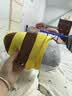 网红小鲨bee搞怪创意毛绒公仔抱枕生日情人节礼物鲨鱼蜜蜂玩偶 鲨鱼&Bee 23厘米 实拍图