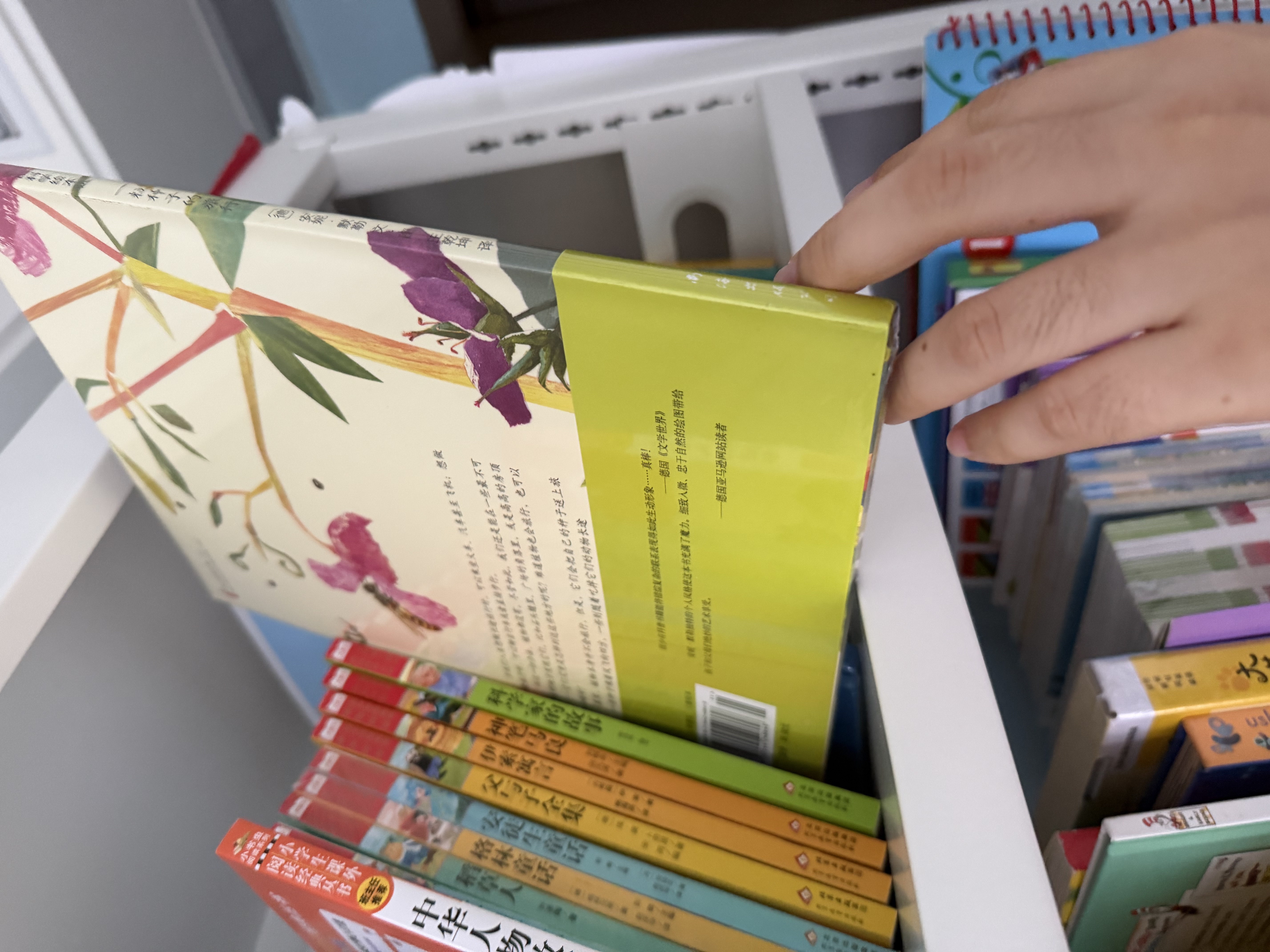 一粒种子的旅行 （精装版）自然科普绘本 小学生读物学校推荐阅读书目 生命教育自然植物大奖童书 易烊千玺推荐 3-6岁 爱心树童书  实拍图