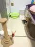 【京东物流】猫抓板磨爪猫窝一体耐磨不掉屑超大号猫玩具猫咪用品 椭圆大号+猫薄荷 实拍图