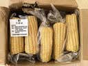 京鲜生东北白糯玉米250g*10棒 新鲜甜糯玉米棒真空包装粘玉米 源头直发 实拍图