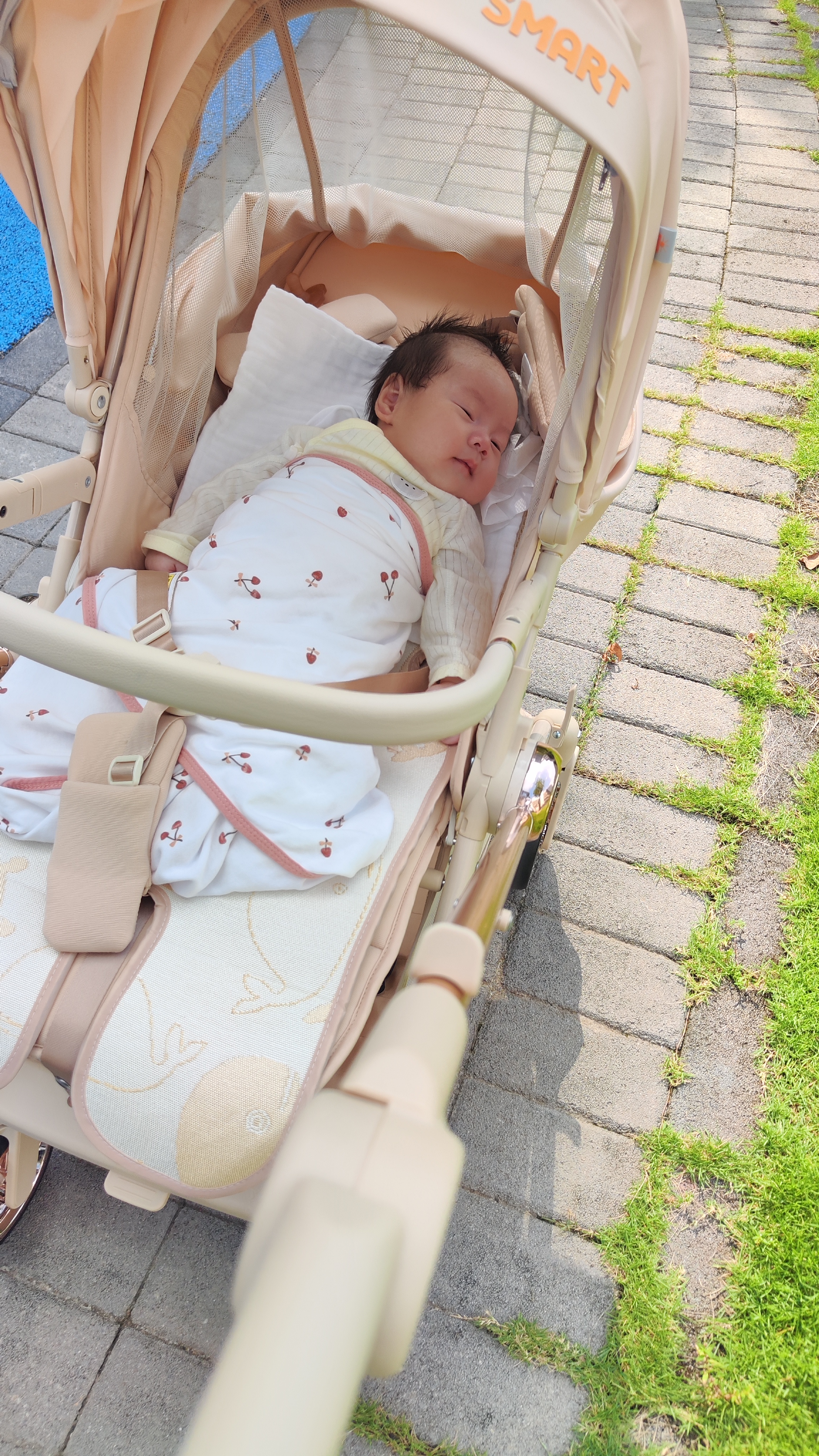 思漫特婴儿推车可坐可躺新生儿婴儿车轻便折叠双向高景观宝宝手推车 郁香金-睡篮版【云栖护脊+四轮智控双向】 实拍图