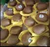 佳沛（zespri）绿奇异果优选果27-33个原箱装单果约103-135g水果 猕猴桃 实拍图