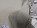 Jeanswest真维斯速干运动套装男士健身运动服冰丝凉感跑步青年短袖短裤男 实拍图