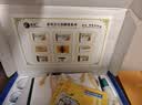 康祝真空拔罐器家用套装京东自营正品夏季拔火罐去湿气中医专用送礼 实拍图