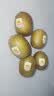 佳沛（zespri）新西兰金奇异果10粒巨大果146-175g猕猴桃中秋节礼品送水果礼盒 实拍图