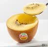 佳沛（zespri）新西兰金奇异果10粒巨大果146-175g猕猴桃中秋节礼品送水果礼盒 实拍图