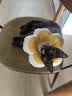 华元宠具（hoopet）猫咪伊丽莎白圈幼猫项圈宠物狗狗耻辱颈圈脖圈头套犬防舔防咬头罩 实拍图