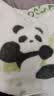 博洋家纺珊瑚绒毛毯办公室空调毯午睡毯薄盖毯子 熊猫潘布100*150cm 实拍图