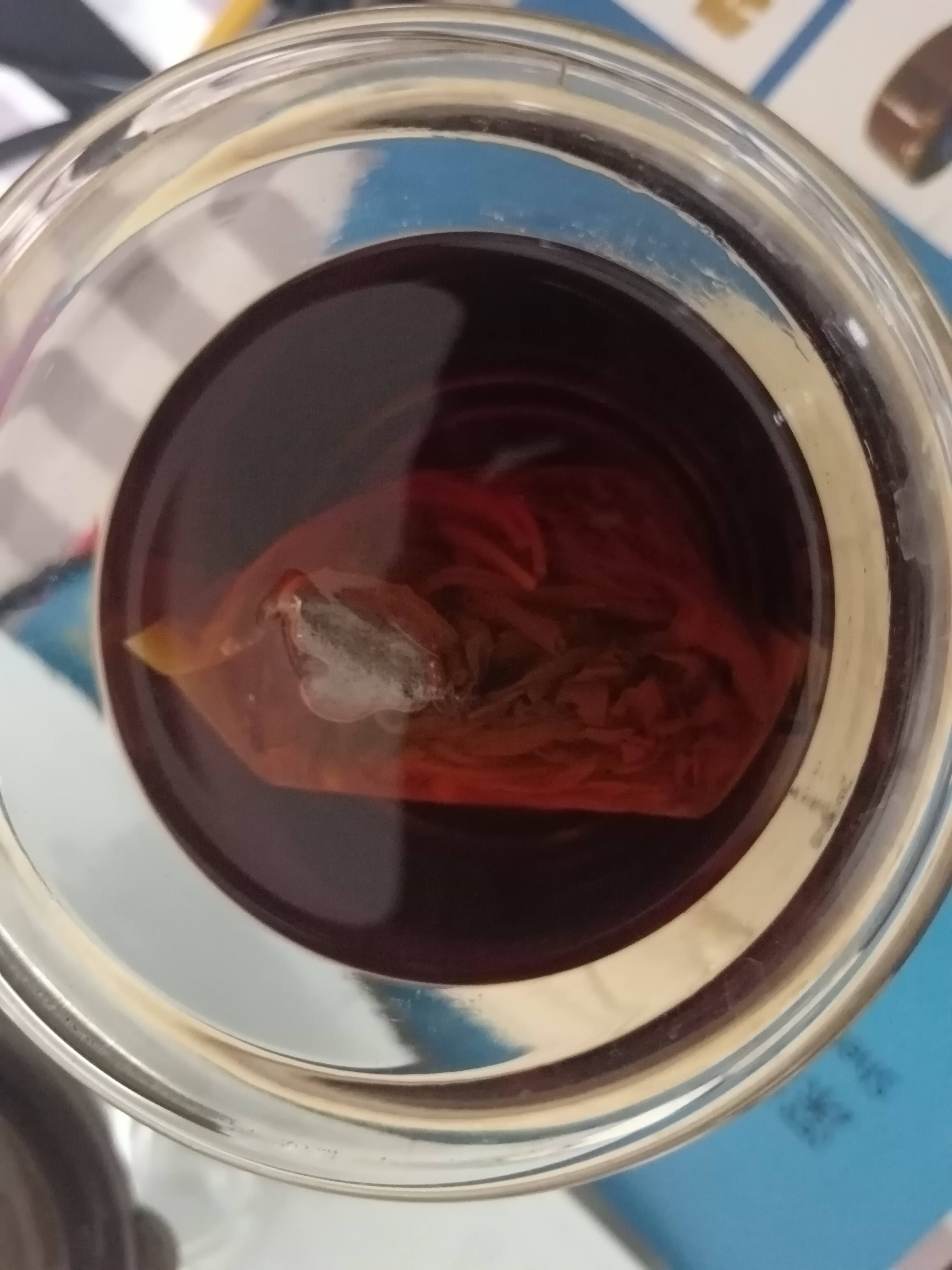 雅集茶包袋 过滤茶渣 玉米纤维泡茶袋 一次性反折茶叶袋120只 实拍图