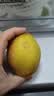 京鲜生【应季新梨】红香酥梨 净重10斤装 单果100g+ 生鲜中秋水果 实拍图