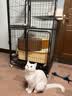 N1 爱宠爱猫n1混合猫砂6.5kg进口钠基矿砂混合1.5mm豆腐砂易结团可冲厕所 实拍图