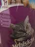 伟嘉猫粮成猫全价猫粮亮毛蓝猫均衡营养10kg海洋鱼夹心粮【原料透明】 实拍图
