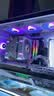 利民（thermalright）TL-C12CW-S X3 白色argb12cm机箱幻彩低噪风扇ARGB 4PIN PWM 1550转速 三连包 实拍图
