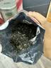 乐品乐茶特级明前碧螺春绿茶2026新茶浓香耐泡口粮茶叶礼盒250g送长辈领导 实拍图