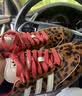 阿迪达斯（adidas）SAMBA三叶草休闲鞋女鞋豹纹棕色JI2734 36 实拍图