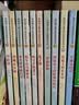 纽伯瑞儿童文学奖获奖作品集（全10册）诺贝尔文学奖获奖作家名著 小学生三四五六年级课外必读国际儿童文学名著 实拍图