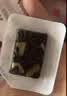 东阿阿胶桃花姬阿胶糕180g*2礼盒装即食阿胶 送长辈营养品礼物中秋礼品 实拍图