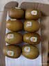 佳沛（zespri）新西兰金奇异果8粒特大果124-146g猕猴桃中秋节礼品送水果礼盒 实拍图
