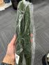 长黄瓜约600g 实拍图