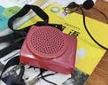 爱课（AKER） MR2100 扩音器教师导游音箱音响教学腰挂式唱戏机喊话器小蜜蜂 红色 实拍图