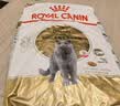 皇家猫粮 英短成猫粮 BS34 通用粮 12月以上 10KG 实拍图