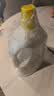 滴露（Dettol）衣物消毒液除菌柠檬3L 99.9%杀菌除螨内衣裤衣服消毒水 实拍图