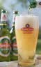 青岛啤酒（TsingTao）经典啤酒 600ml*12瓶 升级大容量 整箱装 中秋节送礼 实拍图