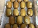 佳沛（zespri）新西兰金奇异果10个装单果重103-114g猕猴桃中秋节礼品送水果礼盒 实拍图