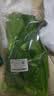 上海青约500g(油菜) 实拍图