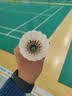 尤尼克斯（YONEX）羽毛球AS-50高端专业比赛用球飞行稳定耐打12只装精选鹅毛球2速 实拍图