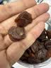 方家铺子中华老字号 六星桂圆肉458g无核免剥桂圆干特级 福建特产龙眼肉厚 实拍图