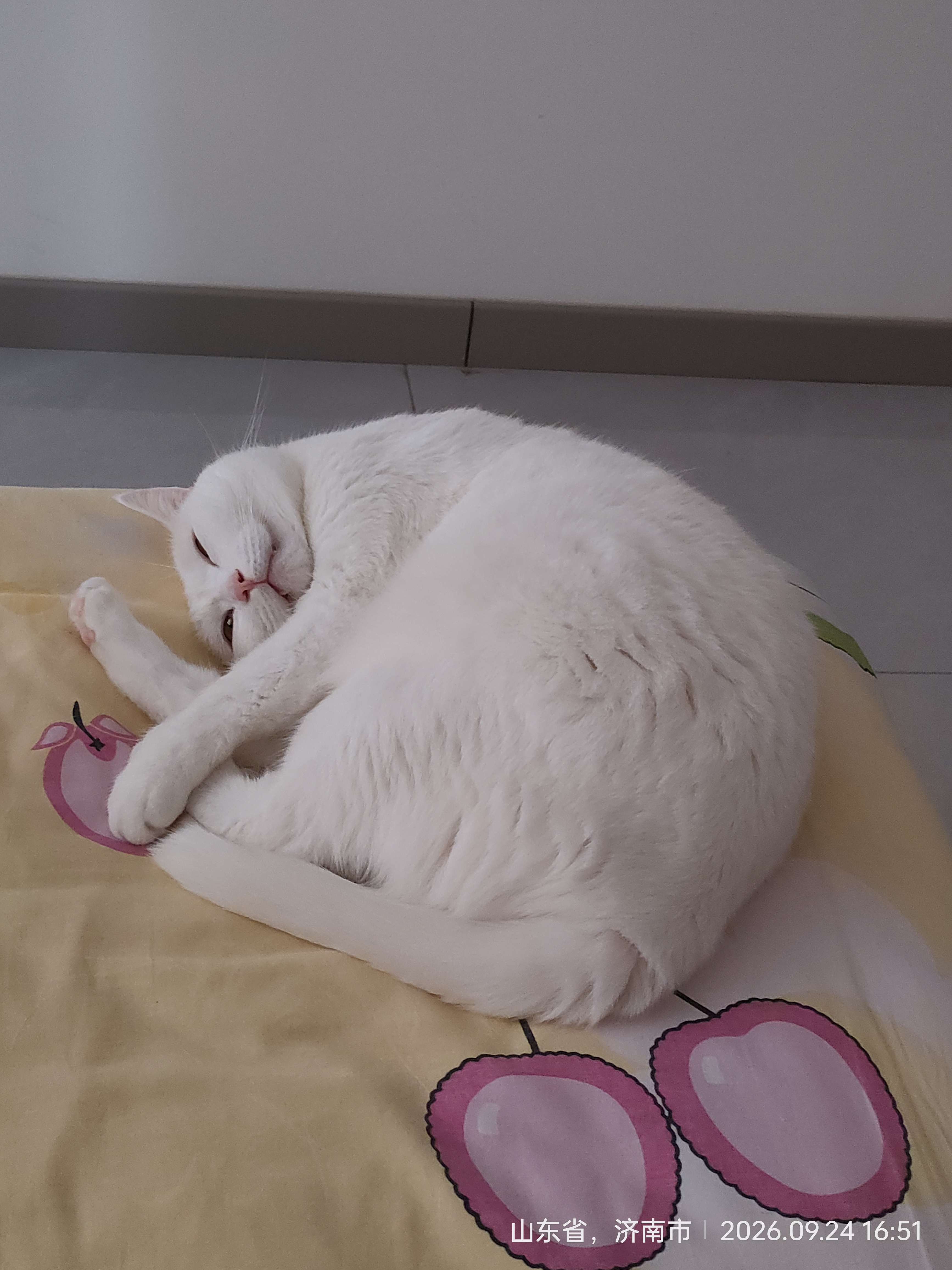 名创优品（MINISO）猫砂豆腐膨润土混合猫砂京东自营送货上门猫咪猫砂除臭香味 实拍图