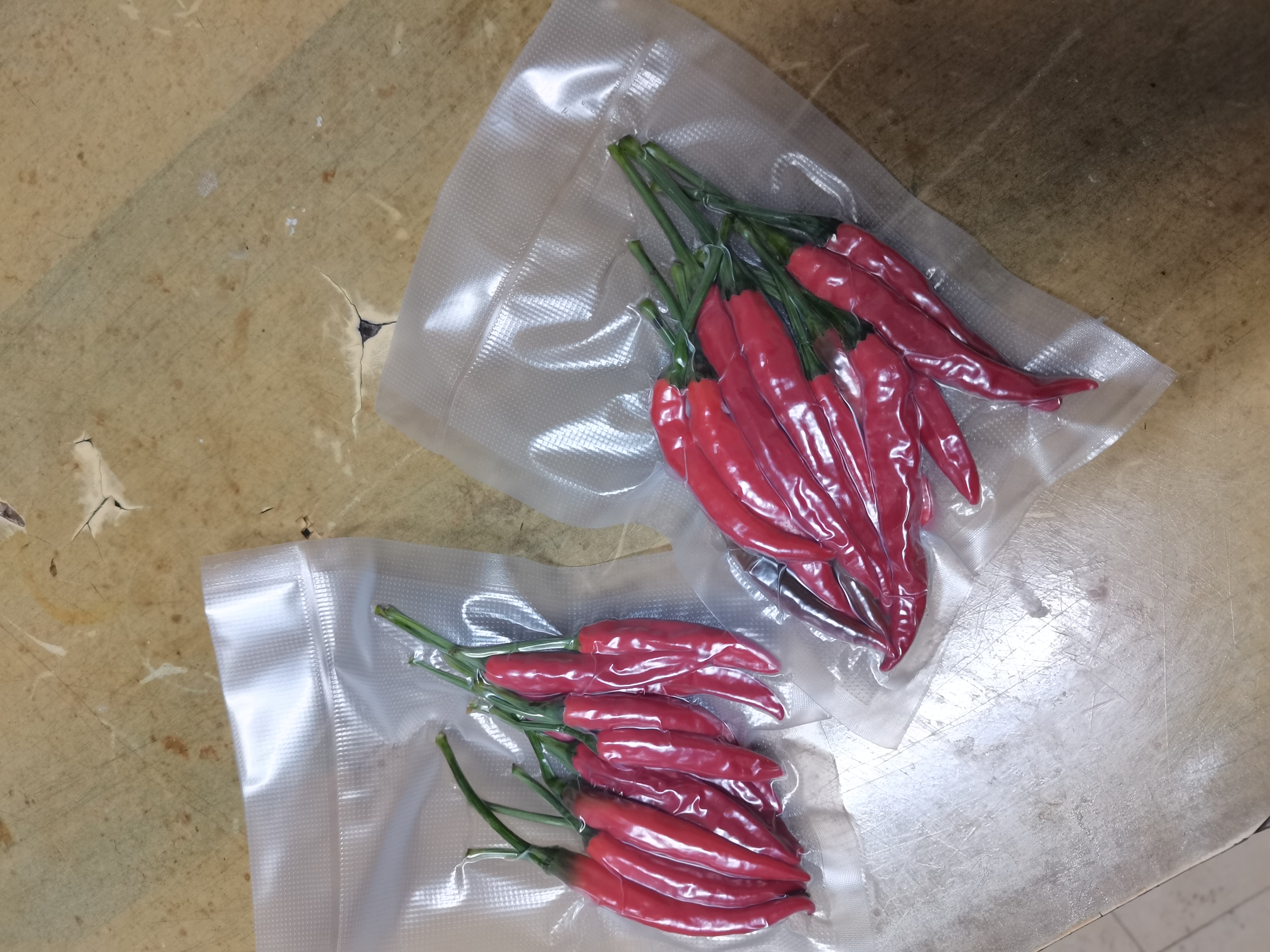 达派（dapai）德国真空封口机家用商用干湿两用全自动抽真空包装真空食品保鲜机塑封机抽腊肉真空封口 店长推荐【干湿两用】下单享袋子 实拍图